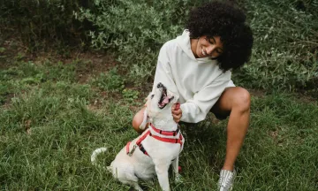 Witte hond aaien